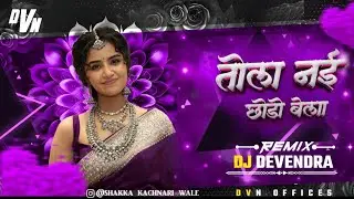 Tola Nai Chodho Bela || तोला नई छोड़व बेला || cg song viral trending song || DJ DVN 2 OFFICES REMIX