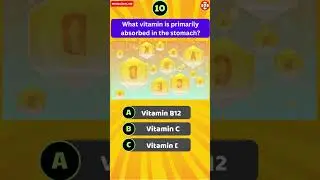 What vitamin is primarily absorbed in the stomach?