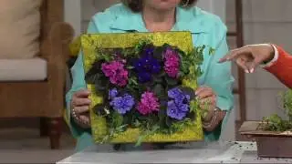 Ultimate Innovations AquaSav Vertical Garden Wall Planter on QVC
