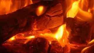 Bonfire 8 hours continuous playback / Bulldog Camp / Sleeping video /ASMR / Fire Sound