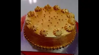 Shimmer cake/Shimmer cake Decoration/Shimmer cake without pump// Easy and simple simple shimmer cake