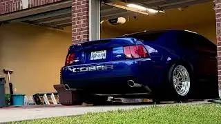 Sonic blue cobra getting tucked away
