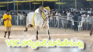 చిలకలూరిపేట గ్రామం  జూనియర్ విభాగం 12వ జత  💥VSC హాస్పిటల్,రూపిణీగుంట్ల