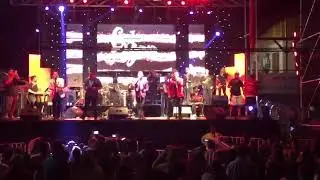 Ca&ntilde;a brava en Chile