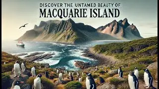 Discover the Untamed Beauty of Macquarie Island.