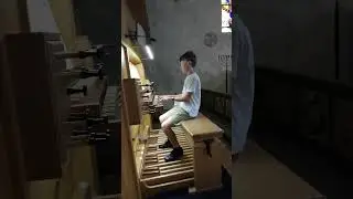 BRED DINA VIDA VINGAR med organist Elis Helenius i Sankta Maria kyrka, Pojo