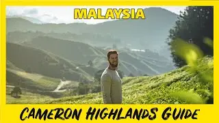 Cameron Highlands Guide