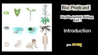 Developmental Biology | Part 1 - Introduction | Bio Podcast