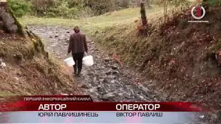 Міжгірські Рекіти: село пенсіонерів, яке вимирає