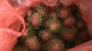 Review Rambutan Binjai vs Rambutan Aceh