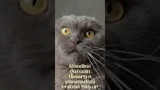 Kişisel İmaj - Kendine G&uuml;venin &Ouml;nemi #shorts
