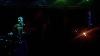 Local Honey-MSO 75
