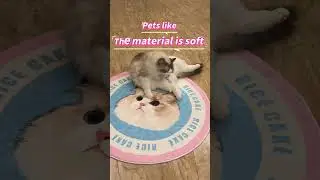 personalized pet rug from photo