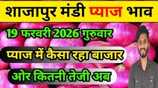 Aaj ka pyaj bhav 19 February 2026 shajapur mandi || today pyaj rate || Aaj ka pyaj bhav