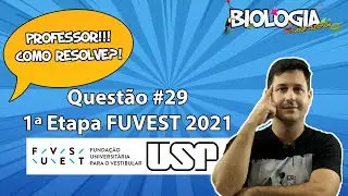 FUVEST 2021 - 1&ordf; Fase (primeira fase) - Prova V - Quest&atilde;o 29 (#29) - Divis&atilde;o Celular