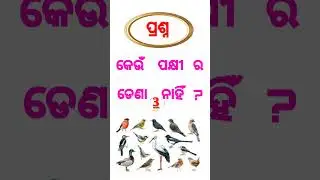 Odia Gk Question and Answer | Odia Gk | Gk Quiz