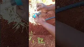 How to join HDPE pipe using a coupler. #piping #plumbing #joint #connection #waterpipeline #coupling