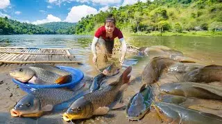 TIMELAPSE: Using High-Capacity Pump to Harvest Lots of Fish from Mud Pond &ndash; Selling at Market