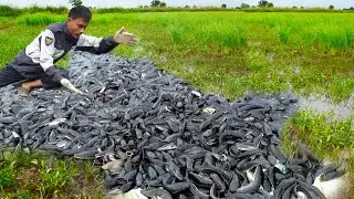 Catching Catfish and Crabs Together in Deep Mud
