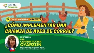 Clase Gratuita: ¿Cómo Implementar una Crianza de Aves de Corral?