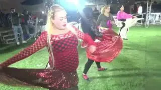 فيديو نادر للفنان عادل القيزاني