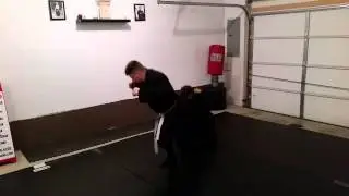 Virginia Budo   Intercepting a Kick and Counter