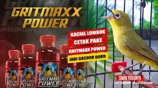 NYOBA GACORIN KACIAL PAKE GRITMAXX POWER