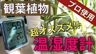 【園芸のプロも愛用】観葉植物用に超オススメの温湿度計「ThermoPro サーモプロ TP55」をご紹介します！！初心者にもおすすめ！熱帯夜や猛暑の室内温度の管理や熱中症対策にもおすすめ！