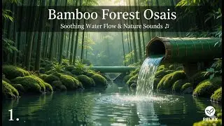 Bamboo Forest Oasis: Soothing Water Flow & Nature Sounds