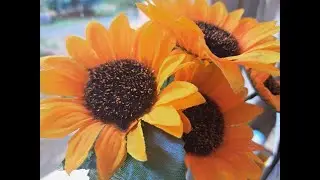 &ldquo;Welcome to Ordinary Stories | Finding Beauty in Everyday&nbsp;Moments&rdquo;