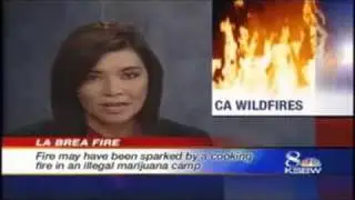 Alisa Becerra/Anchoring