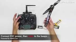 How to set up Throttle Range on ESC Storm Drone 6