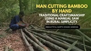 Man Cutting Bamboo by Hand: Traditional Craftsmanship Using a Manual Saw in Rural Simplicity
