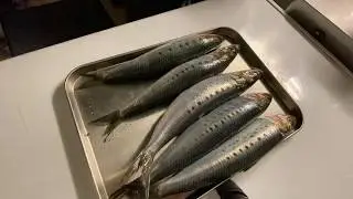 真鰯が安いので　捌き方と！簡単！真鰯で【アンチョビ】！！
