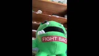 Eggs Safety