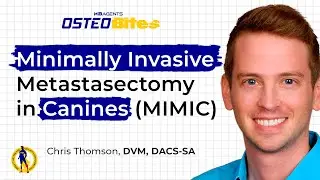 Minimally Invasive Metastasectomy in Canines MIMIC