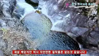 경북 울진여행 덕구계곡 트레킹