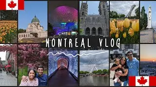 🇨🇦🇨🇦Поездка в Монреаль🇨🇦🇨🇦 | Поездка из Торонто | Старый Монреаль | Броквилл | Собор Парижской Богоматери