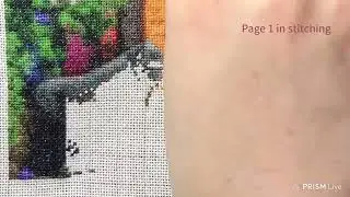 Flosstube #1 [HAED]  The Amazing Animal Kingdom (MC)／WIP／Stitch with me