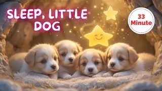Sleep, Little Dog | 33-Minute Soft Lullaby | Babies Falls Asleep in Minutes!
