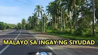 Morning Road Trip | MASBATE PROVINCE