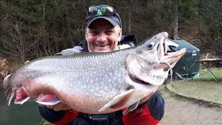Ловля Гольца. Angelparadies Steinbachtal. Rodio Craft 999,9 Meister Bronze Wolf 61UL-TRZ