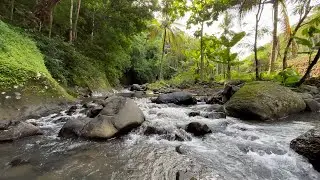 Sleep Better Tonight 🌙 Calming River Sounds for Insomnia & Overthinking 🌊