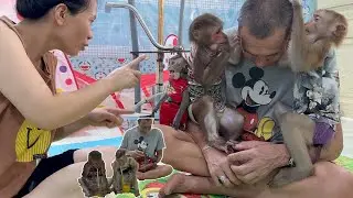Monkey baby Bob is so cute that he wants to attack mom
