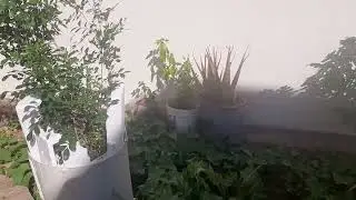 Eu j&aacute; tinha encerrado minha laborterapia! Cidade Tiet&ecirc;/SP, quarta-feira 14/05/25.