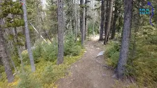 Nez Perce Trail, 10.1 Miles, 16.2 Kilometers | Virtual Trail Running | Treadmill Scenery