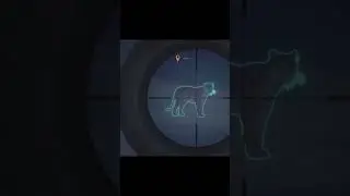 The hunter call of the wild Sundarpatan hunt