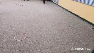 Live streaming of Saane Petanque Sport