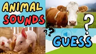 Farm Animals Sound Quiz for Kids 🌾 Educational Fun! Happy Coconut Kids