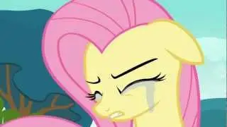 Fluttershy + Rainbow Dash 2